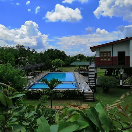 Eco Hotel Black & White - Anuradhapura Mihintale Zewnętrze zdjęcie