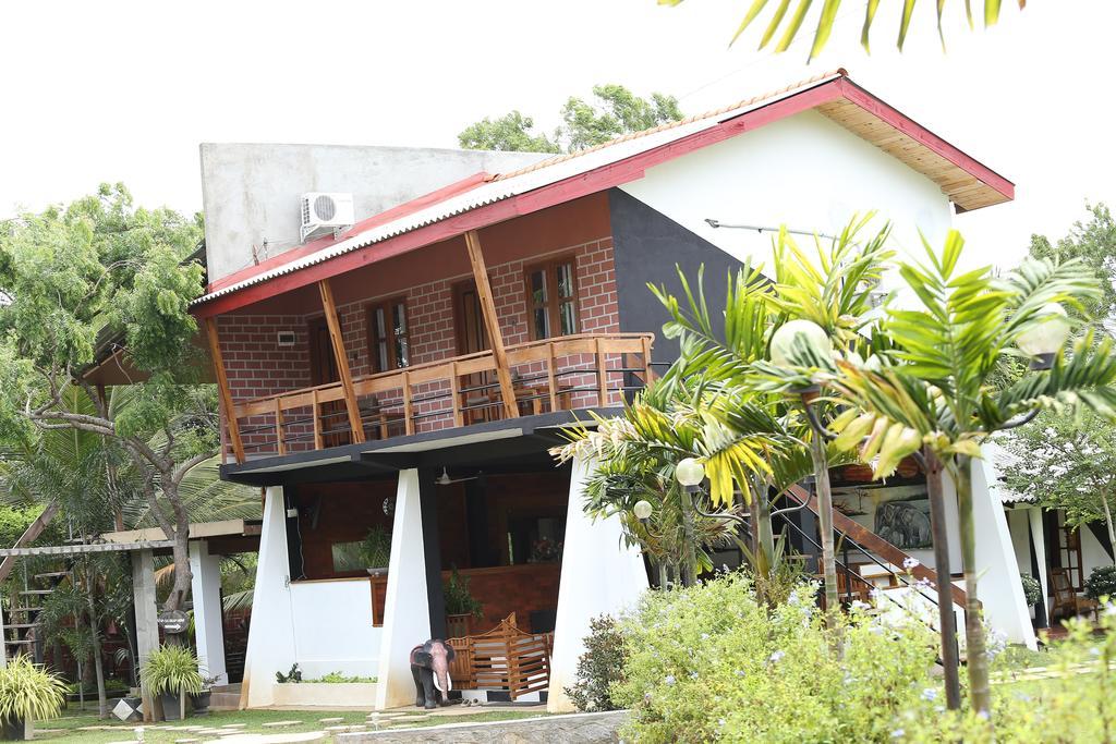 Eco Hotel Black & White - Anuradhapura Mihintale Zewnętrze zdjęcie