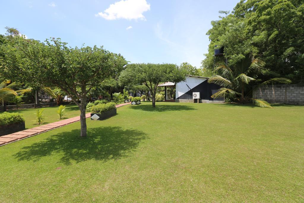Eco Hotel Black & White - Anuradhapura Mihintale Zewnętrze zdjęcie