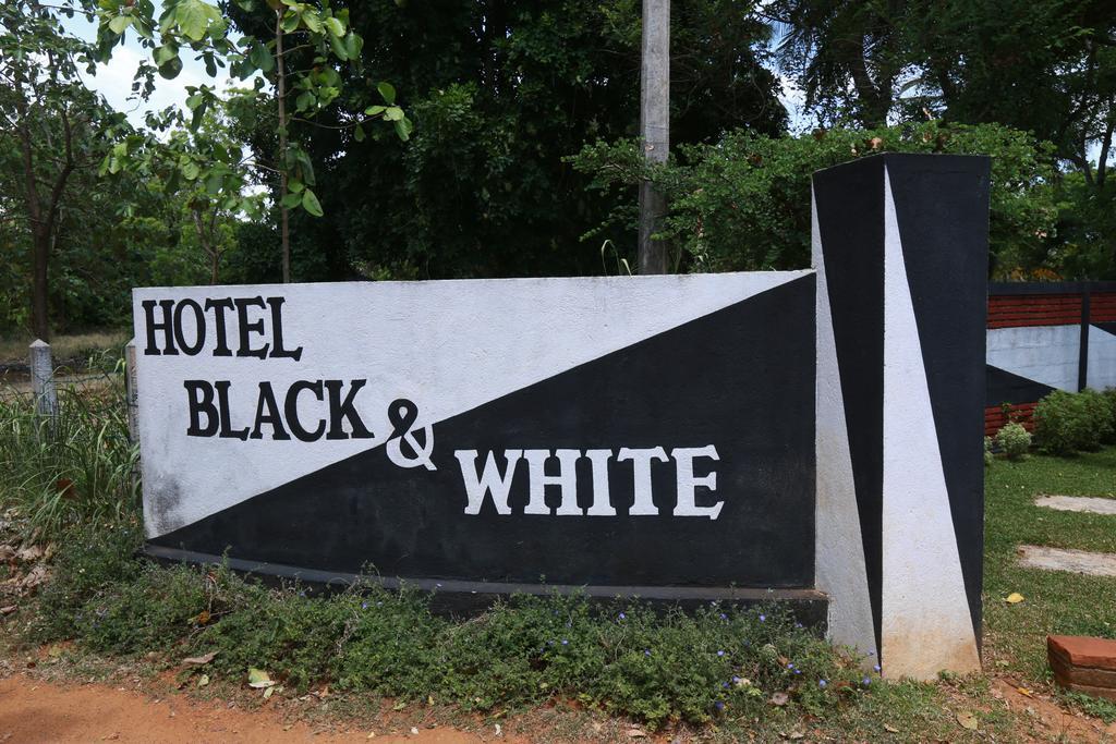 Eco Hotel Black & White - Anuradhapura Mihintale Zewnętrze zdjęcie