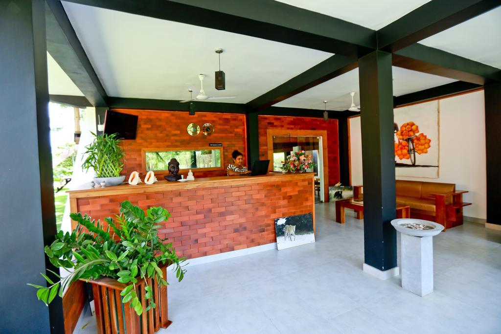 Eco Hotel Black & White - Anuradhapura Mihintale Zewnętrze zdjęcie