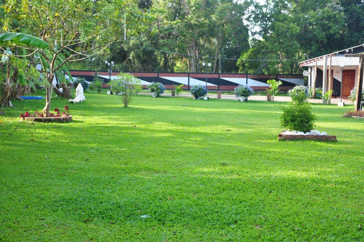 Eco Hotel Black & White - Anuradhapura Mihintale Zewnętrze zdjęcie